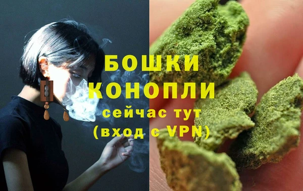 крисы Бронницы