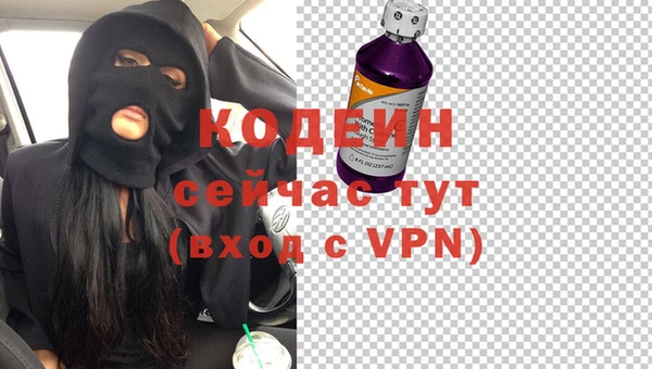 крисы Бронницы