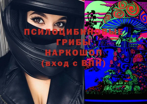 крисы Бронницы