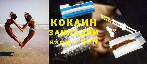 крисы Бронницы