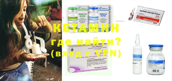 крисы Бронницы